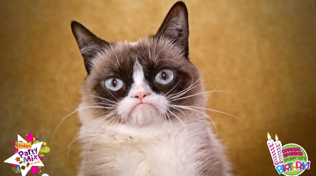 De Grumpy Cat à Henri le chat noir, les succès du Catvertising