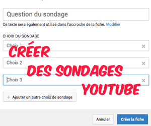 fiche de sondage youtube